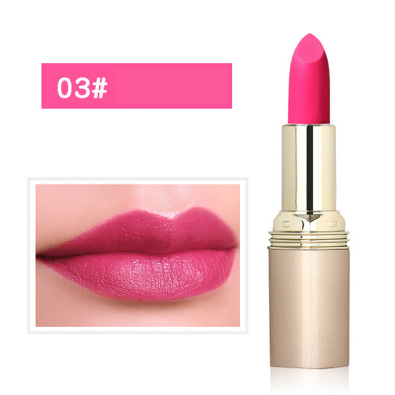 🎉Autumn Hot Sale🎉Non-Staining Moisturizing Matte Lipstick