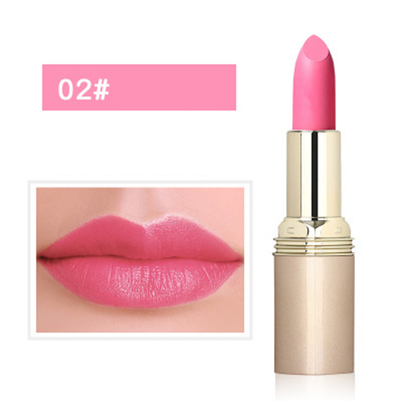 🎉Autumn Hot Sale🎉Non-Staining Moisturizing Matte Lipstick