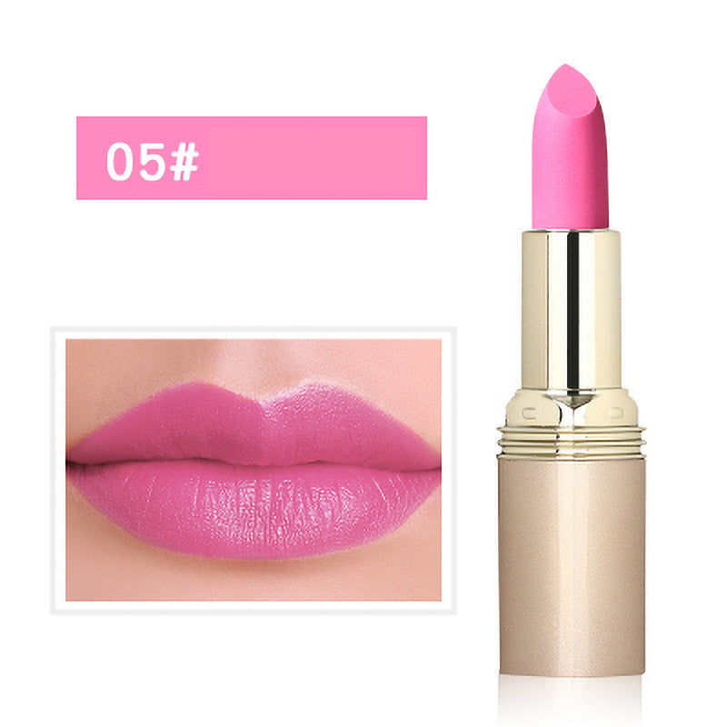 🎉Autumn Hot Sale🎉Non-Staining Moisturizing Matte Lipstick