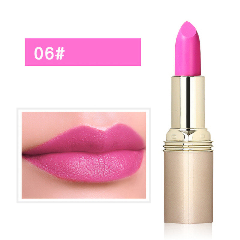 🎉Autumn Hot Sale🎉Non-Staining Moisturizing Matte Lipstick