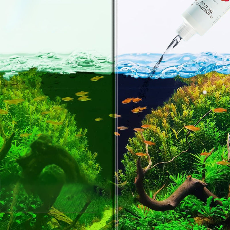🎁 Hot Sale 49% OFF 🔥Effective Algae Control for Aquarium