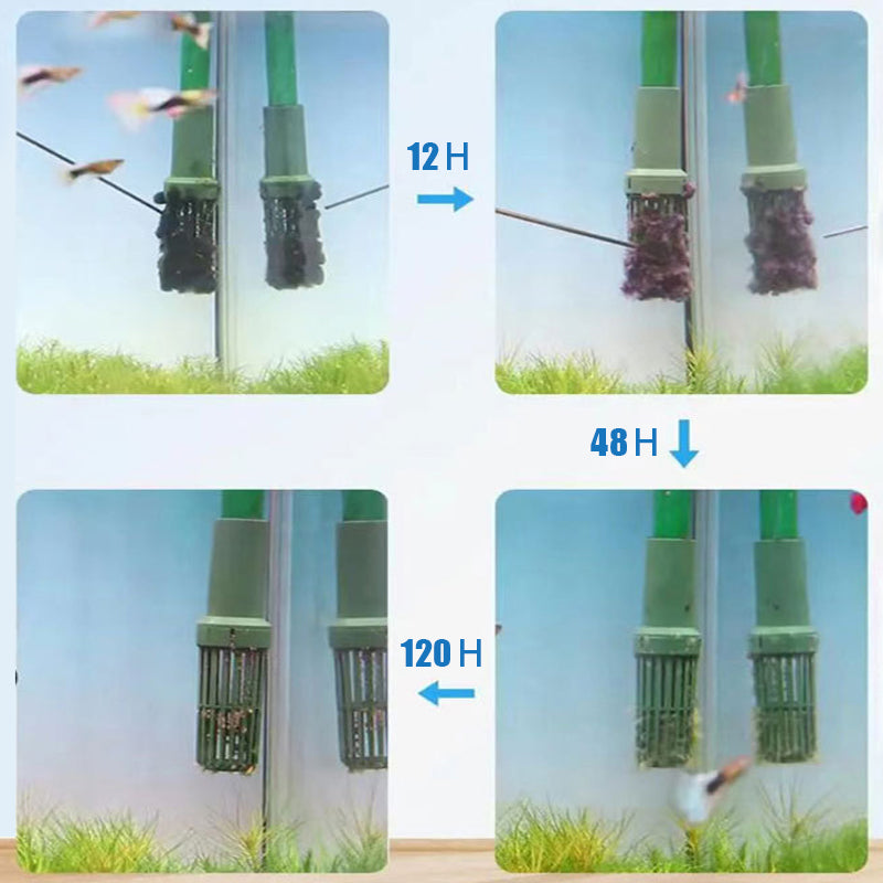 🎁 Hot Sale 49% OFF 🔥Effective Algae Control for Aquarium