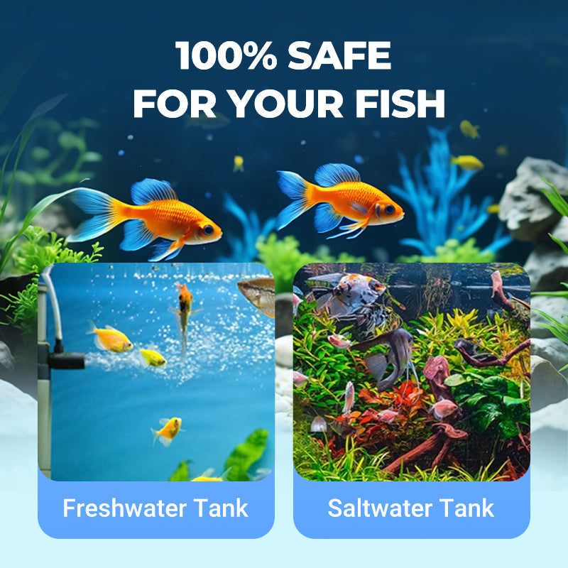 🔥Hot Sale🔥100ml Powerful Aquarium Water Clarifier