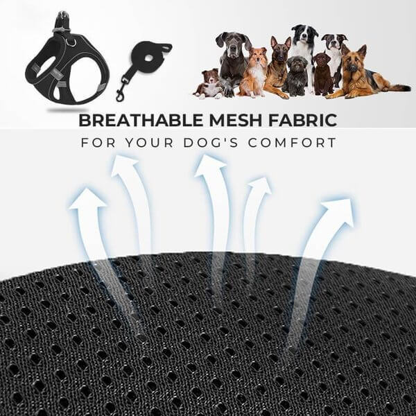 🔥Last Day Promotion 49% OFF🔥🔥One Piece Vest Leash