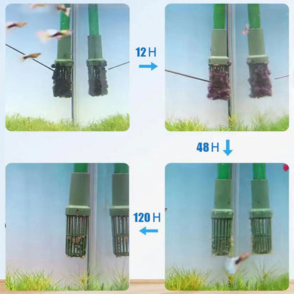 🎁 Hot Sale 49% OFF 🔥Effective Algae Control for Aquarium