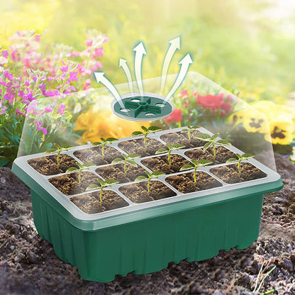 ⏰Limited offer 50% Discount🔥Seed Starter Trays with Grow Light