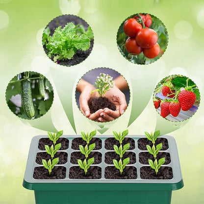 ⏰Limited offer 50% Discount🔥Seed Starter Trays with Grow Light