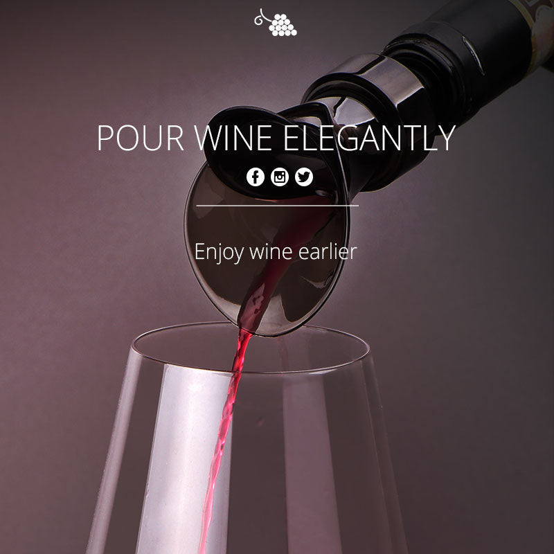 🎉  2 In 1 Red Wine Stopper