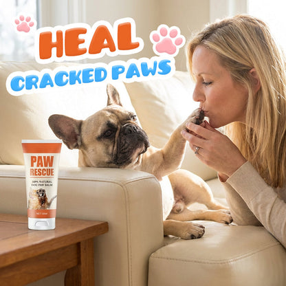 🎉Buy 2 Get 1 Free! 🐾 Soothing Paw Balm for Cracked Dog & Cat Paws – All-Natural, Healing & Protective! 🐶🐱