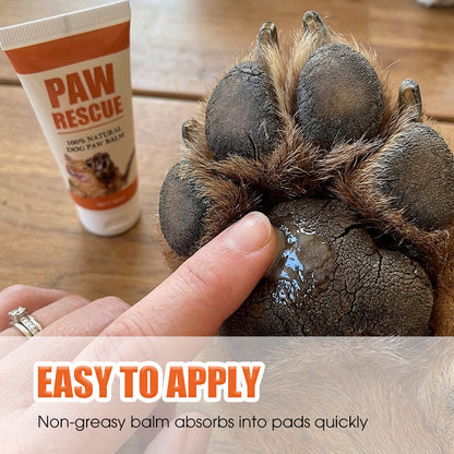 🎉Buy 2 Get 1 Free! 🐾 Soothing Paw Balm for Cracked Dog & Cat Paws – All-Natural, Healing & Protective! 🐶🐱
