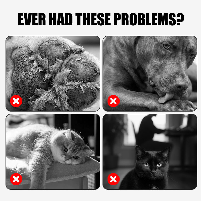 🎉Buy 2 Get 1 Free! 🐾 Soothing Paw Balm for Cracked Dog & Cat Paws – All-Natural, Healing & Protective! 🐶🐱