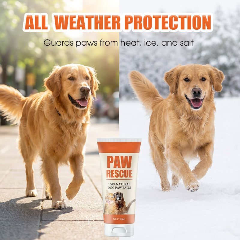 🎉Buy 2 Get 1 Free! 🐾 Soothing Paw Balm for Cracked Dog & Cat Paws – All-Natural, Healing & Protective! 🐶🐱