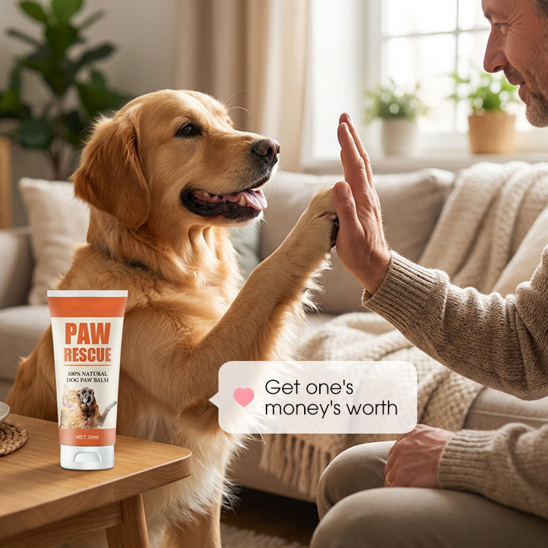 🎉Buy 2 Get 1 Free! 🐾 Soothing Paw Balm for Cracked Dog & Cat Paws – All-Natural, Healing & Protective! 🐶🐱