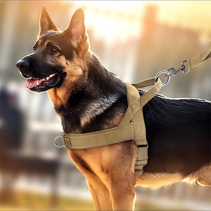 🥳2026 HOT SALE🥳🐕💪 50% OFF! Heavy‑Duty Tactical Dog Harness – No‑pull, no‑choke. 🛡️✨