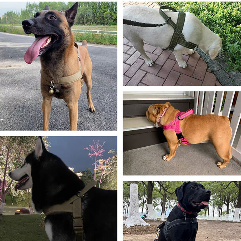 🥳2026 HOT SALE🥳🐕💪 50% OFF! Heavy‑Duty Tactical Dog Harness – No‑pull, no‑choke. 🛡️✨