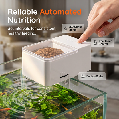 🐟 LIMITED-TIME 50% OFF! ⏰ Auto Fish Feeder – Smart, Timed, Perfect Portion 🤖