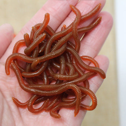 Simulation Earthworm Soft Fishing Lures Shrimp Scented Artificial Worm Baits for Freshwater and Saltwater Pack of 50 or 100